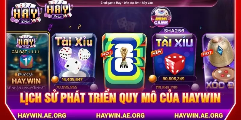 Lịch sử phát triển quy mô của Haywin