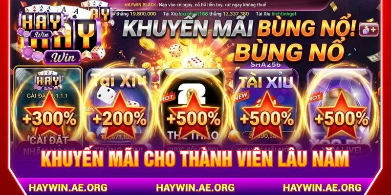 Chương trình khuyến mãi HAYWIN dành cho thành viên lâu năm